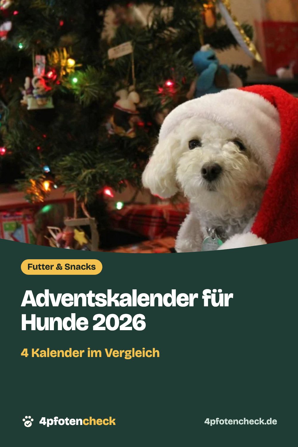 Adventskalender für Hunde 2026 – 4 Kalender im Vergleich