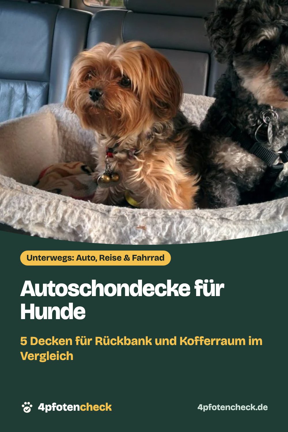 Autoschondecke für Hunde – 5 Decken für Rückbank und Kofferraum im Vergleich