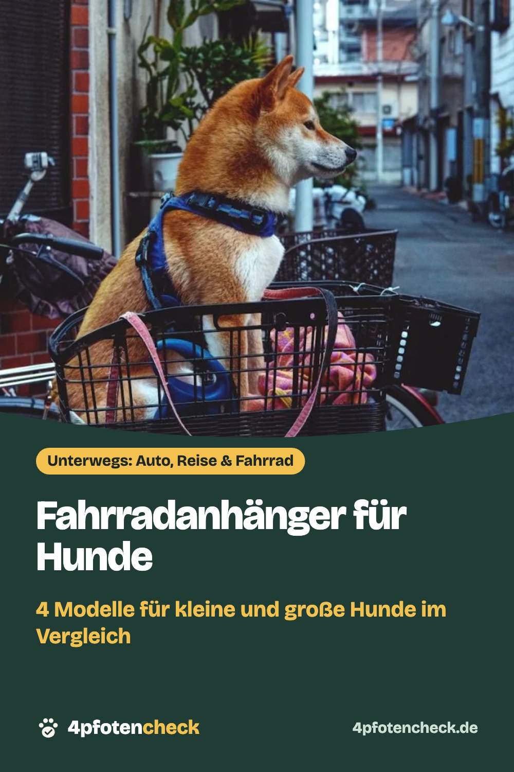 Fahrradanhänger für Hunde – 4 Modelle für kleine und große Hunde im Vergleich