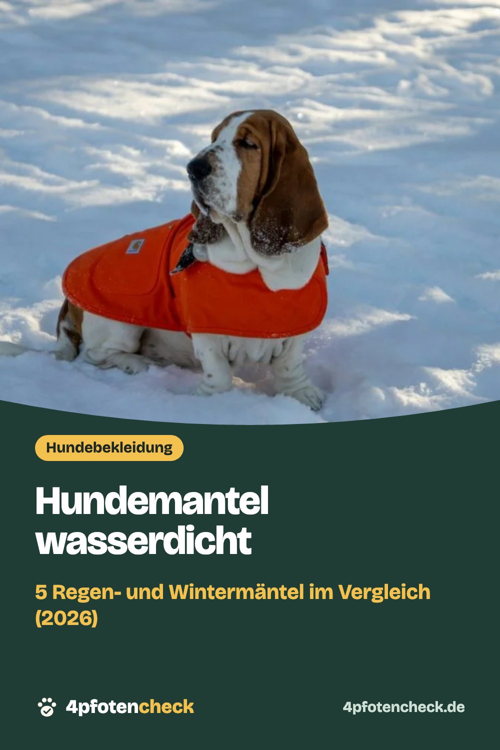 Hundemantel wasserdicht – 5 Regen- und Wintermäntel im Vergleich (2026)