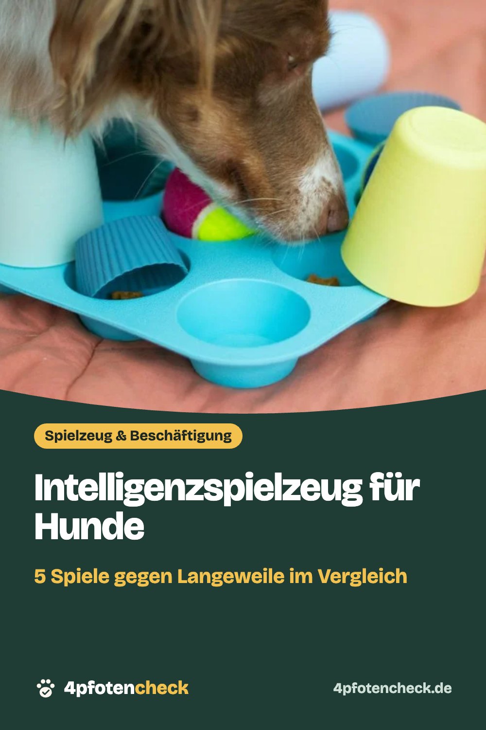 Intelligenzspielzeug für Hunde – 5 Spiele gegen Langeweile im Vergleich