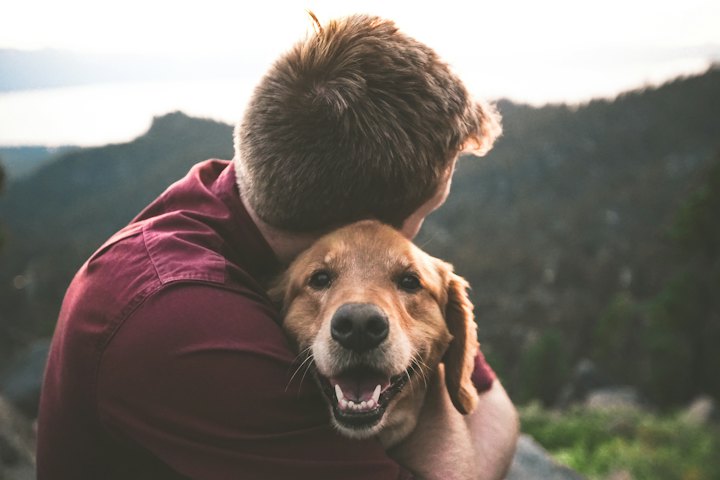Mann umarmt seinen Hund