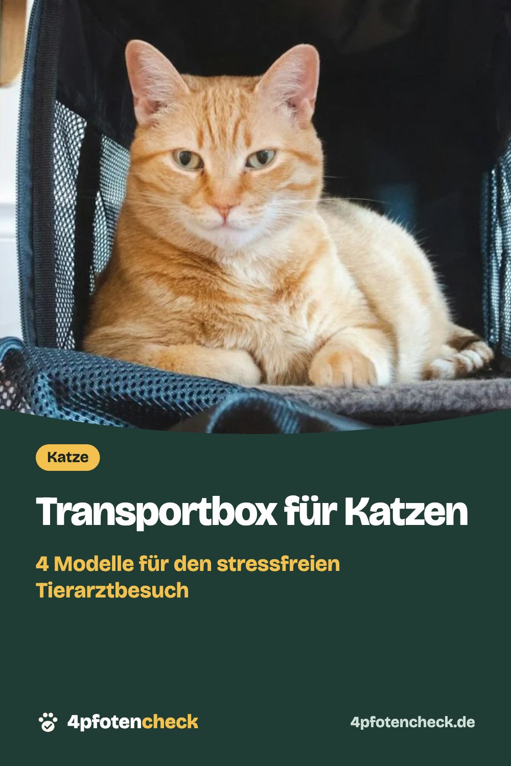 Transportbox für Katzen – 4 Modelle für den stressfreien Tierarztbesuch