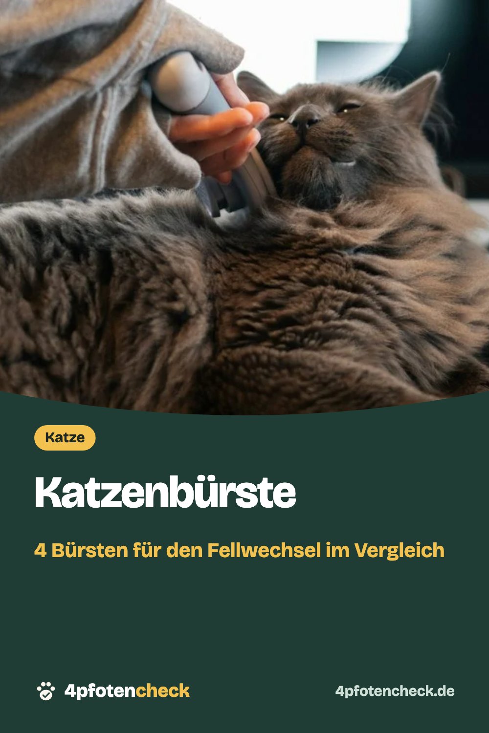 Katzenbürste – 4 Bürsten für den Fellwechsel im Vergleich