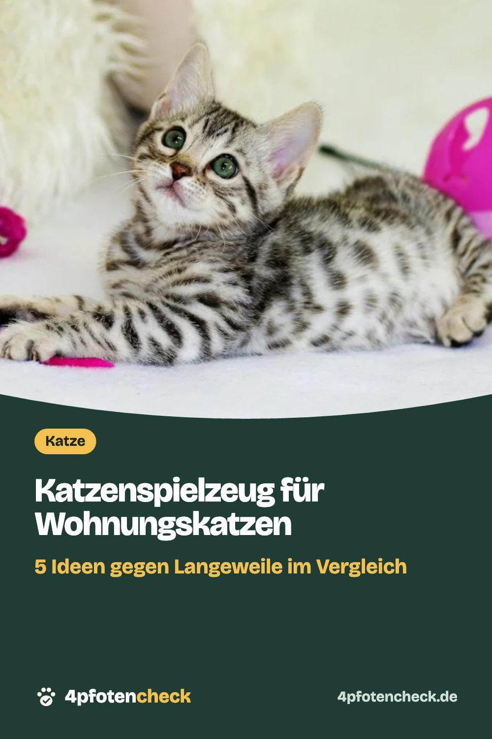 Katzenspielzeug für Wohnungskatzen – 5 Ideen gegen Langeweile im Vergleich
