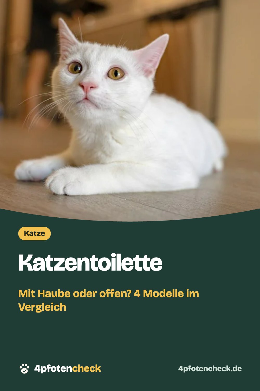 Katzentoilette – Mit Haube oder offen? 4 Modelle im Vergleich