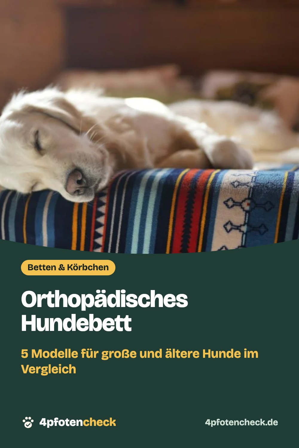 Orthopädisches Hundebett – 5 Modelle für große und ältere Hunde im Vergleich