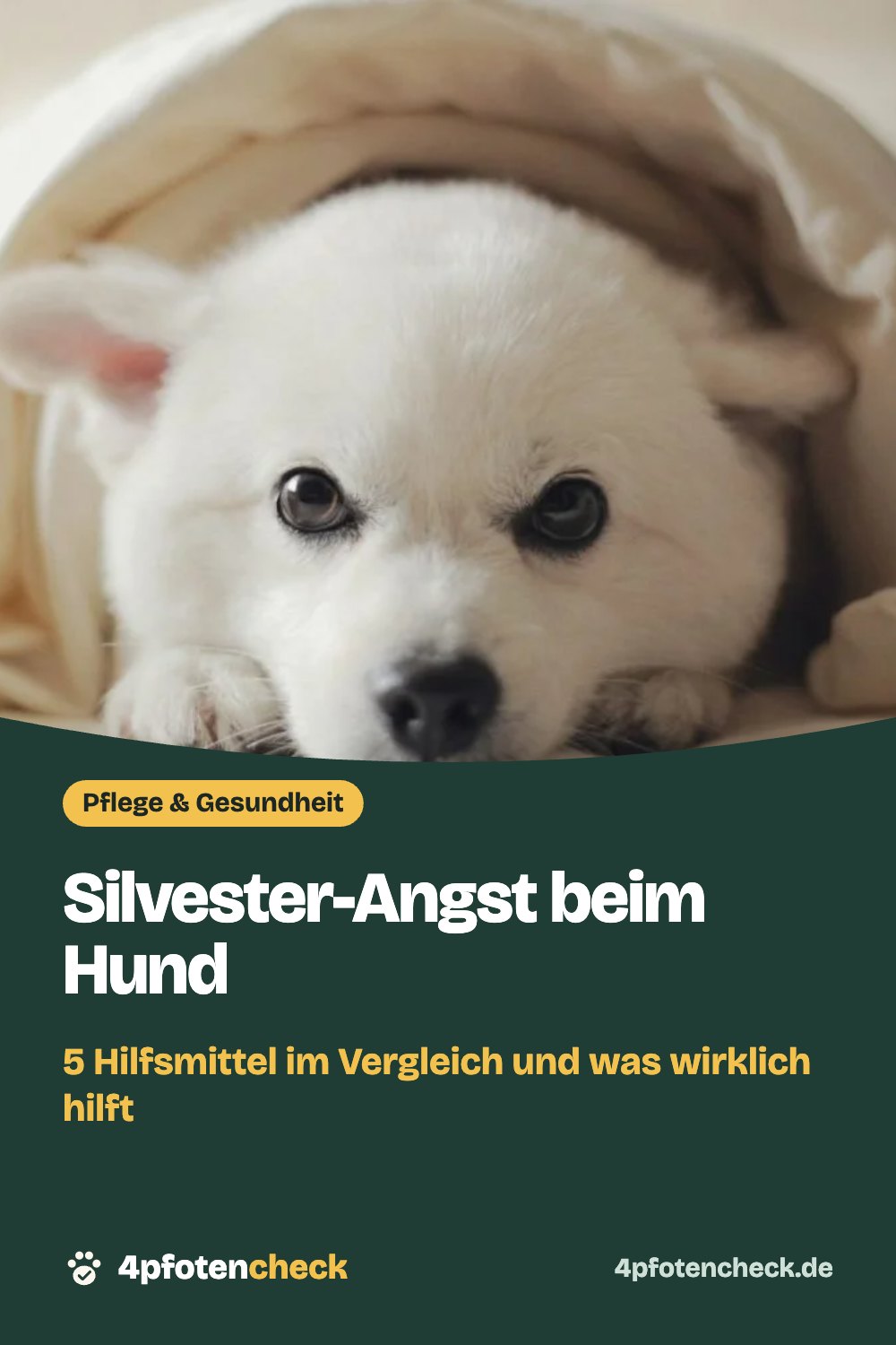 Silvester-Angst beim Hund – 5 Hilfsmittel im Vergleich und was wirklich hilft